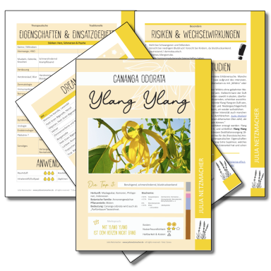 Ylang Ylang (Cananga odorata)