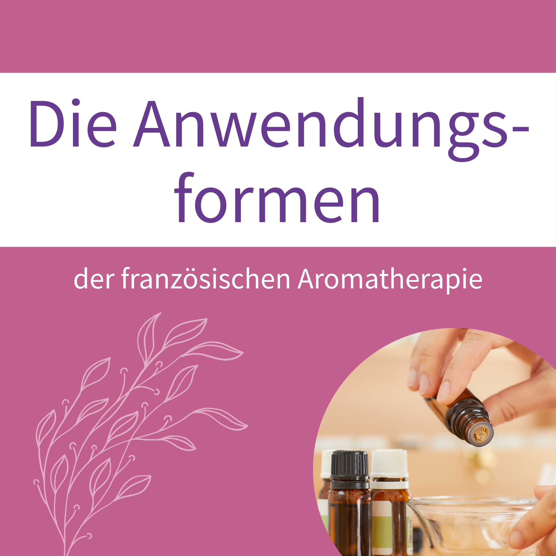 Sicherheit in der französischen Aromatherapie