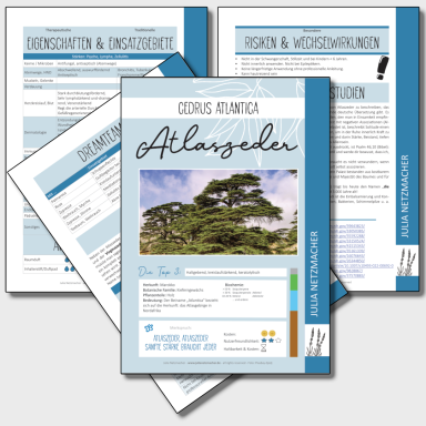 Atlaszeder Monographie zu Cedrus atlantica