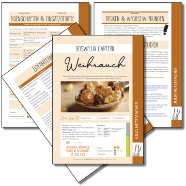Weihrauch Monographie zu Boswellia carterii
