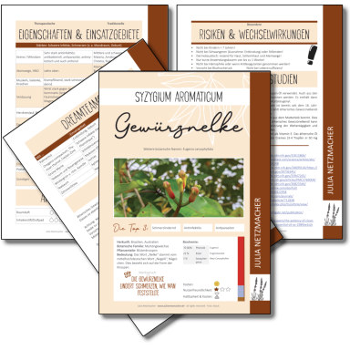 Gewürznelke Monographie zu Syzygium aromaticum