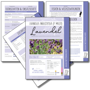 Lavendel Monographie zu Lavandula angustifolia