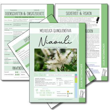 Niaouli (Melaleuca quinquenervia)