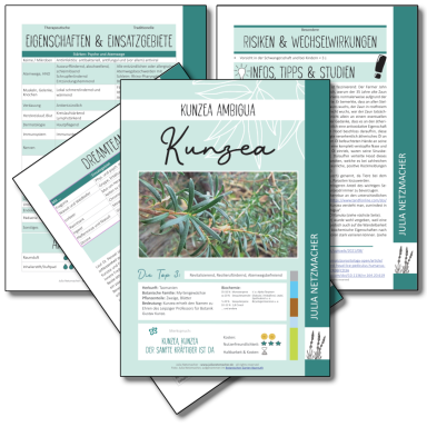 Kunzea Monographie zu Kunzea ambigua