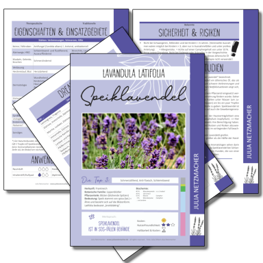 Speiklavendel (Lavandula latifolia)