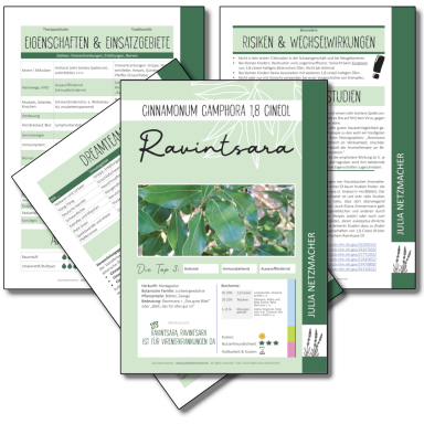 Ravintsara Monographie zu Cinnamonum camphora 1,8 cineol